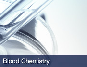 Serum Testing